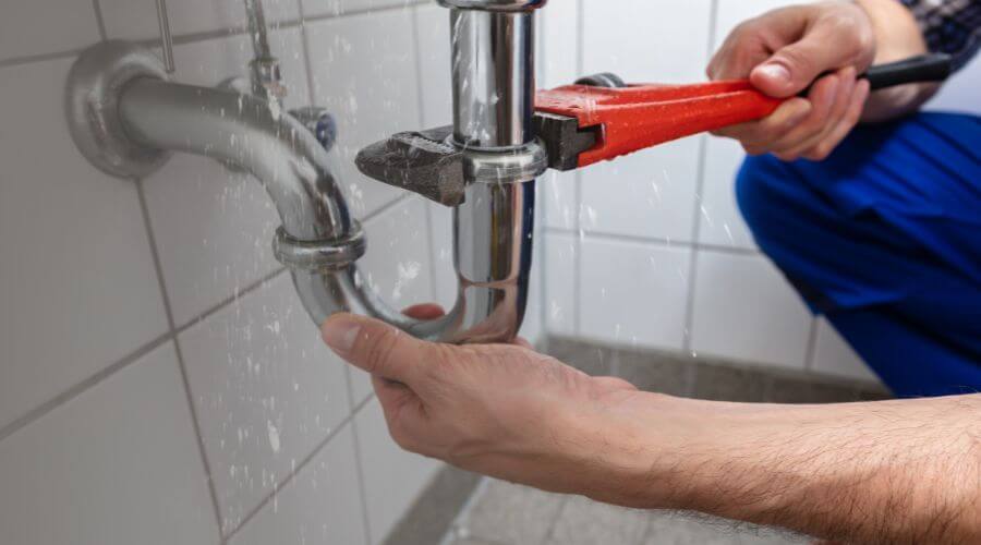 Professional Leak Detection services in Plains, GA